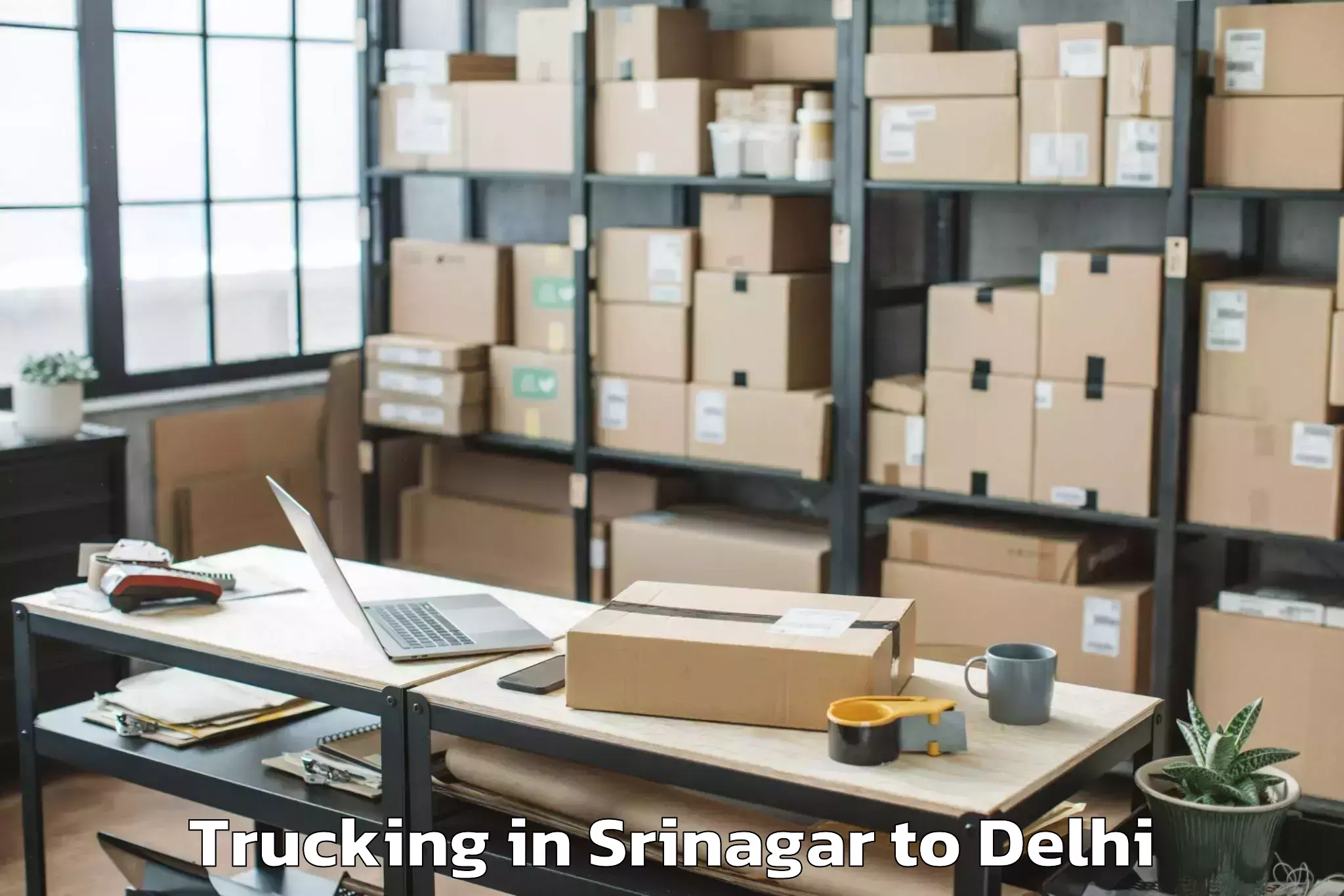 Reliable Srinagar to Lodhi Road Trucking